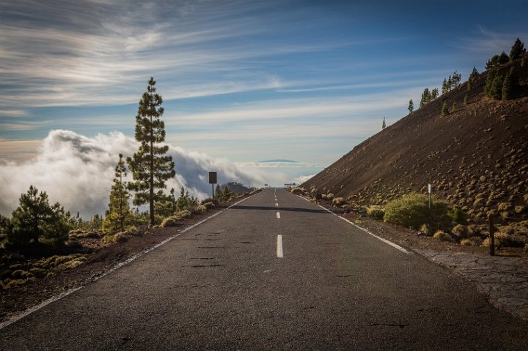 046 Tenerife, NP el Teide.jpg